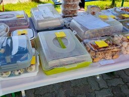 b_1024_768_0_00_images_2022_2023_DD2023_IMG-20230601-WA0011